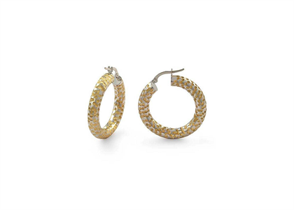 2 Tone Plated | Fashion Earrings